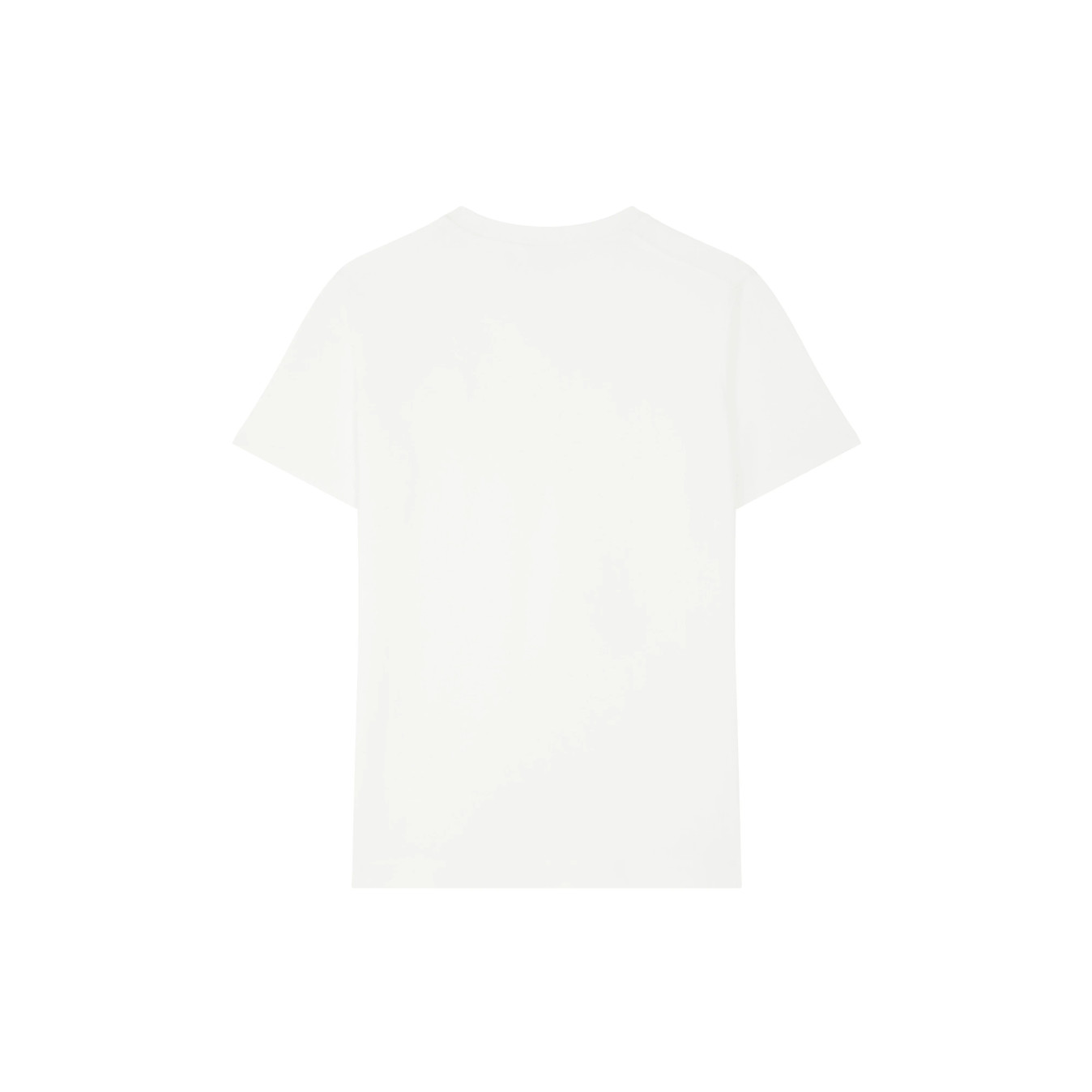 #couleur_white