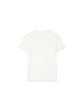 #couleur_white