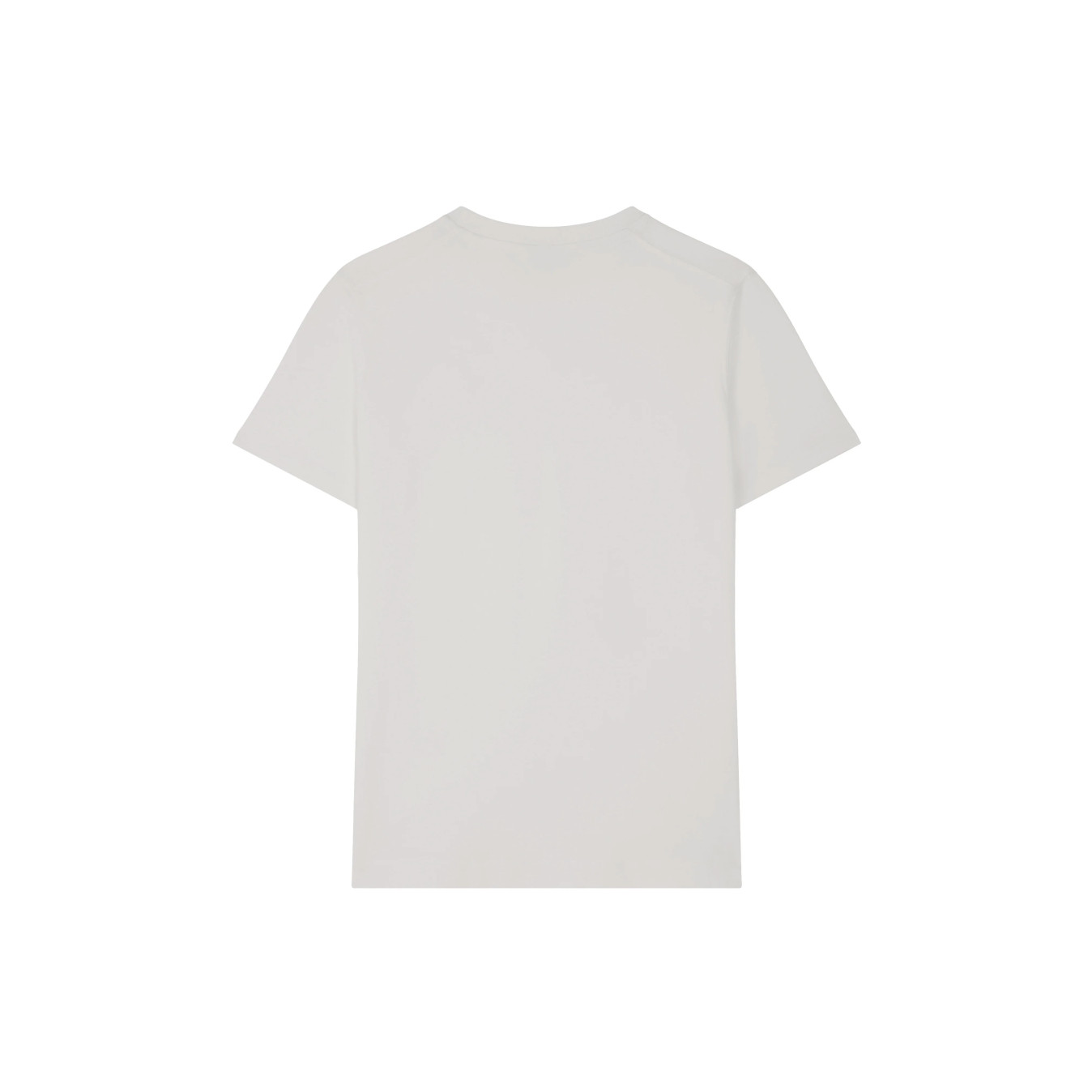 #couleur_grey