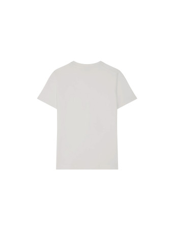 #couleur_grey
